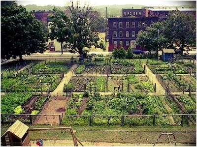 Bando per l assegnazione di lotti destinati ad orti urbani comunali. Biennio 2023/2024 foto 