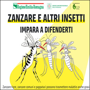 ZANZARE E ALTRI INSETTI: impara a difenderti foto 