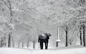 Emergenza neve - Ordinanza per la chiusura di tutte le scuole in data 07/02/2015 foto 