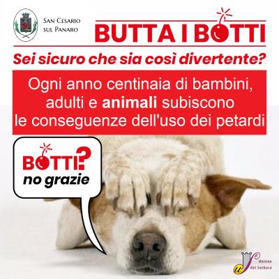 BOTTI?  No grazie. foto 