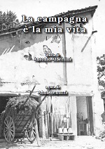 saggi - storia 6 Antonino