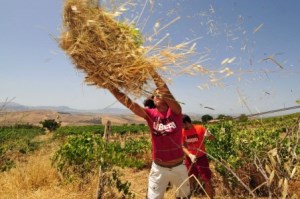 Proposta menù Iniziativa Libera Terra - Giovedì 21 Marzo